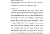 Solekan dengan Pigmen Rama-Rama Dipelihara dalam Resin: Membuat Kekasihmu Terperangah