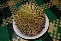 Sarung Organik dari Serat Kulit Durian Langka