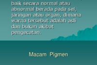 Kecantikan Halimunan: Solek dengan Pigmen UV Rahsia
